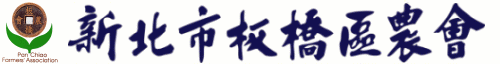 ޲zt